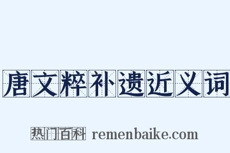 唐文粹补遗近义词是什么意思的图片